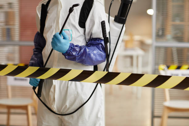 Professional Sewage Cleanup technician working in Bailey, MI